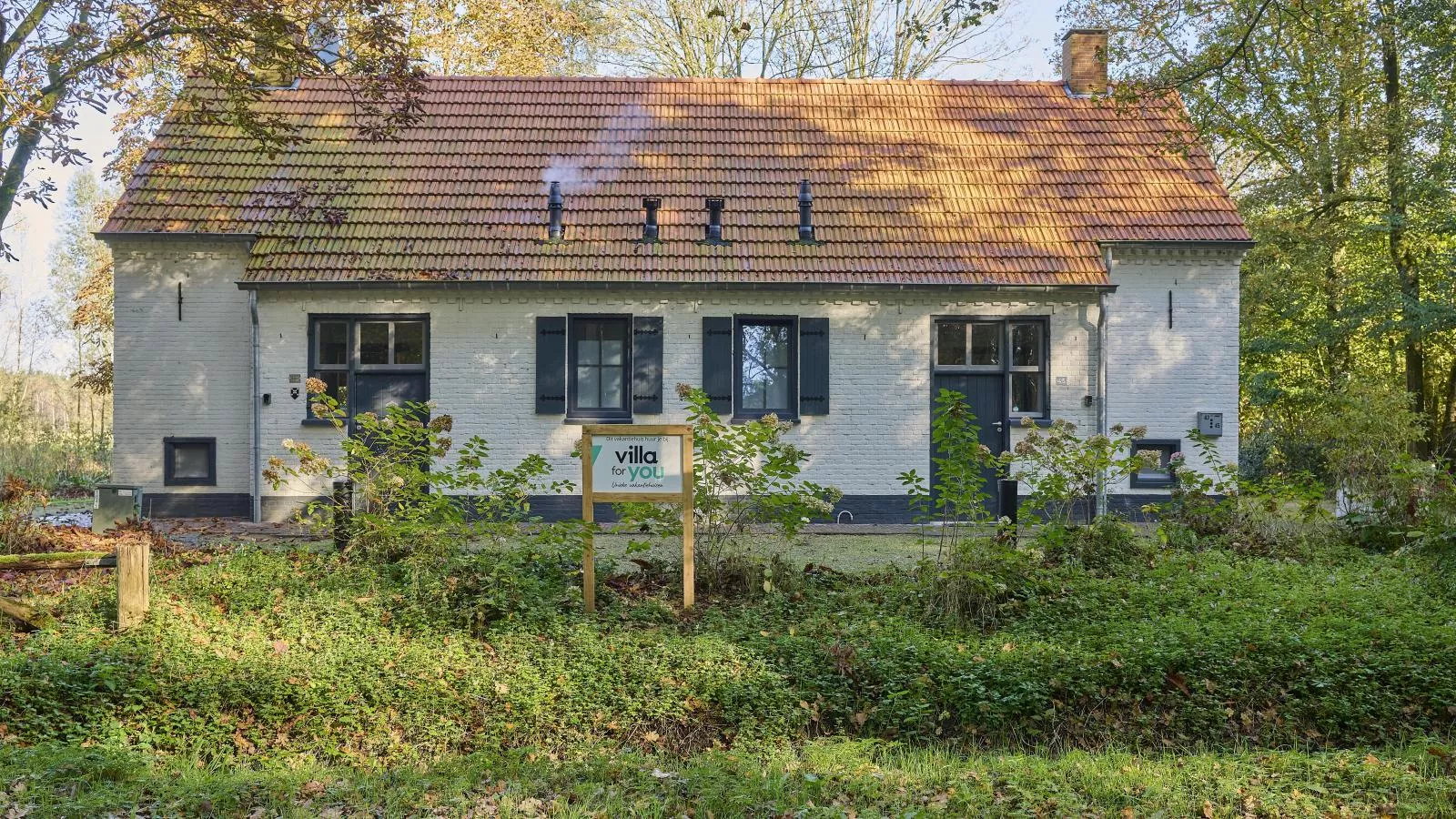 Bosbeertje 43-Exterior summer