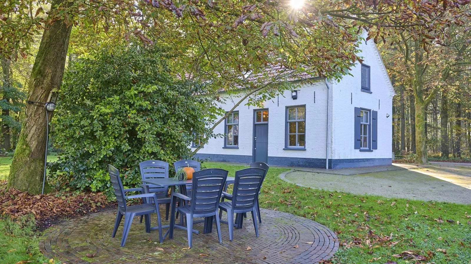 Bosbeertje 43-Terrace balcony