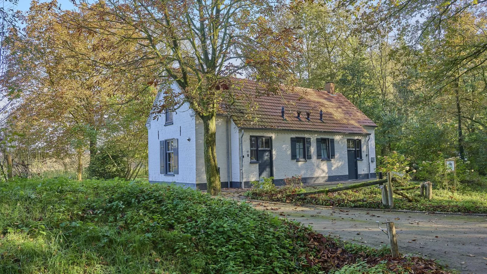 Bosbeertje 43-Exterior summer