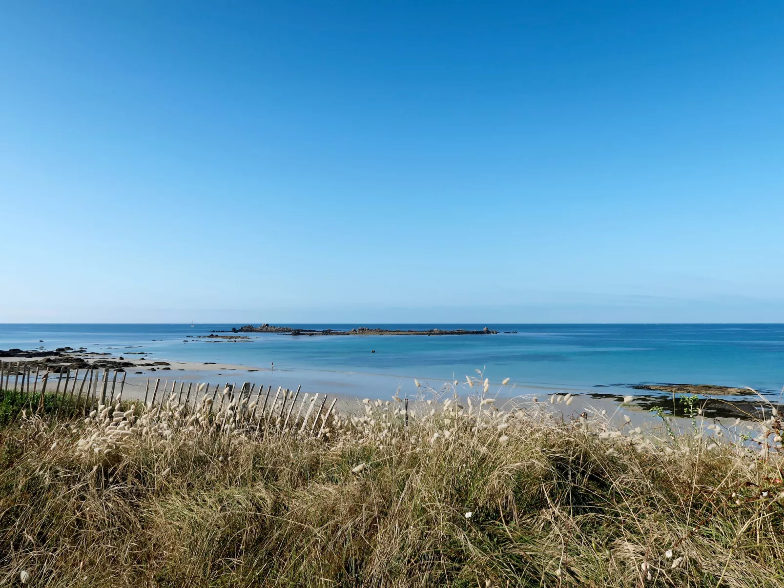 La mouette bleue-Area