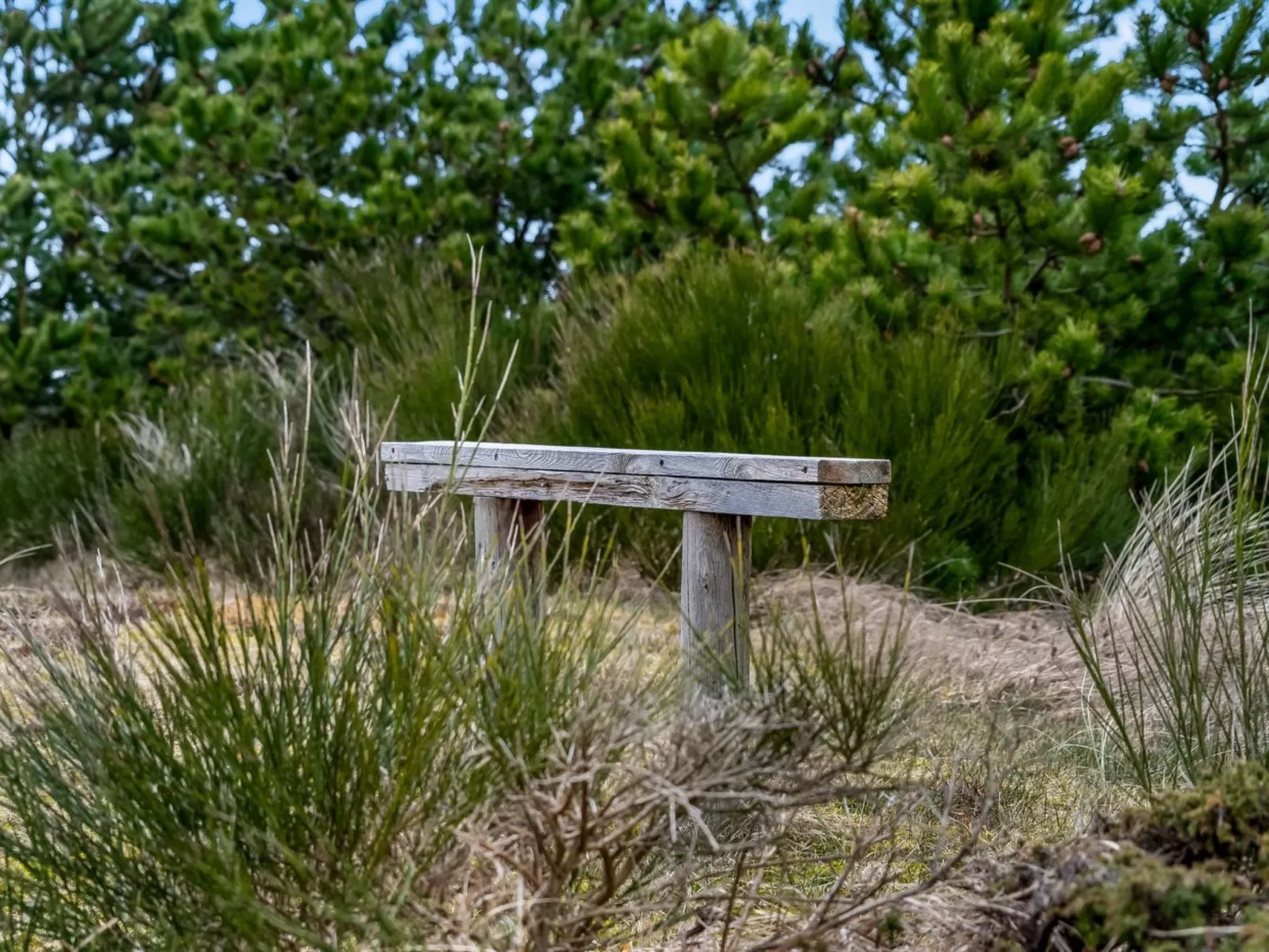 "Godja" - 1km from the sea-Outside