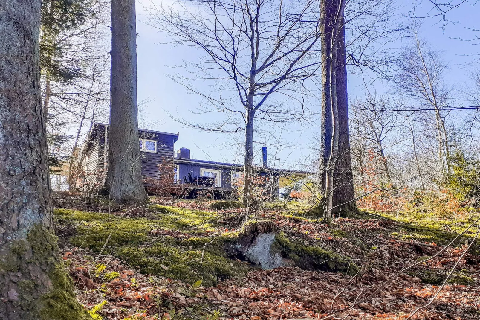 4 person holiday home in Aars-By Traum-Outdoor