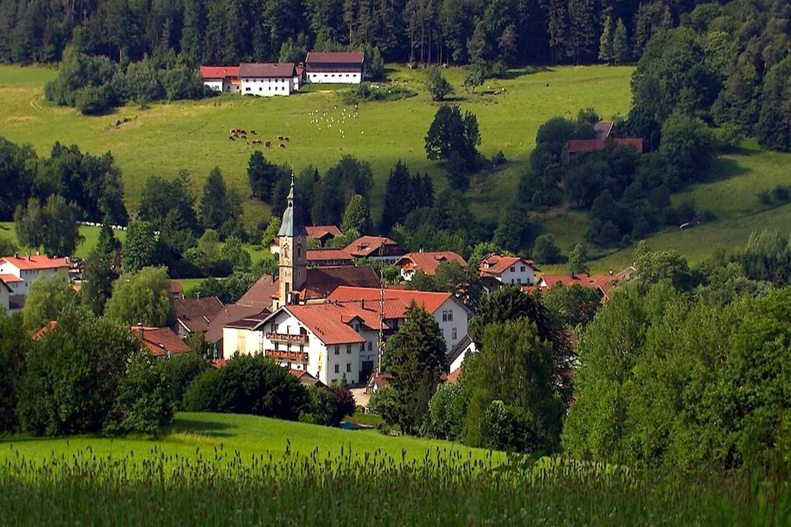 	Holiday flats Haus am Wald Zenting-Wohnung für 2 Personen-Zones d'été à 5 km