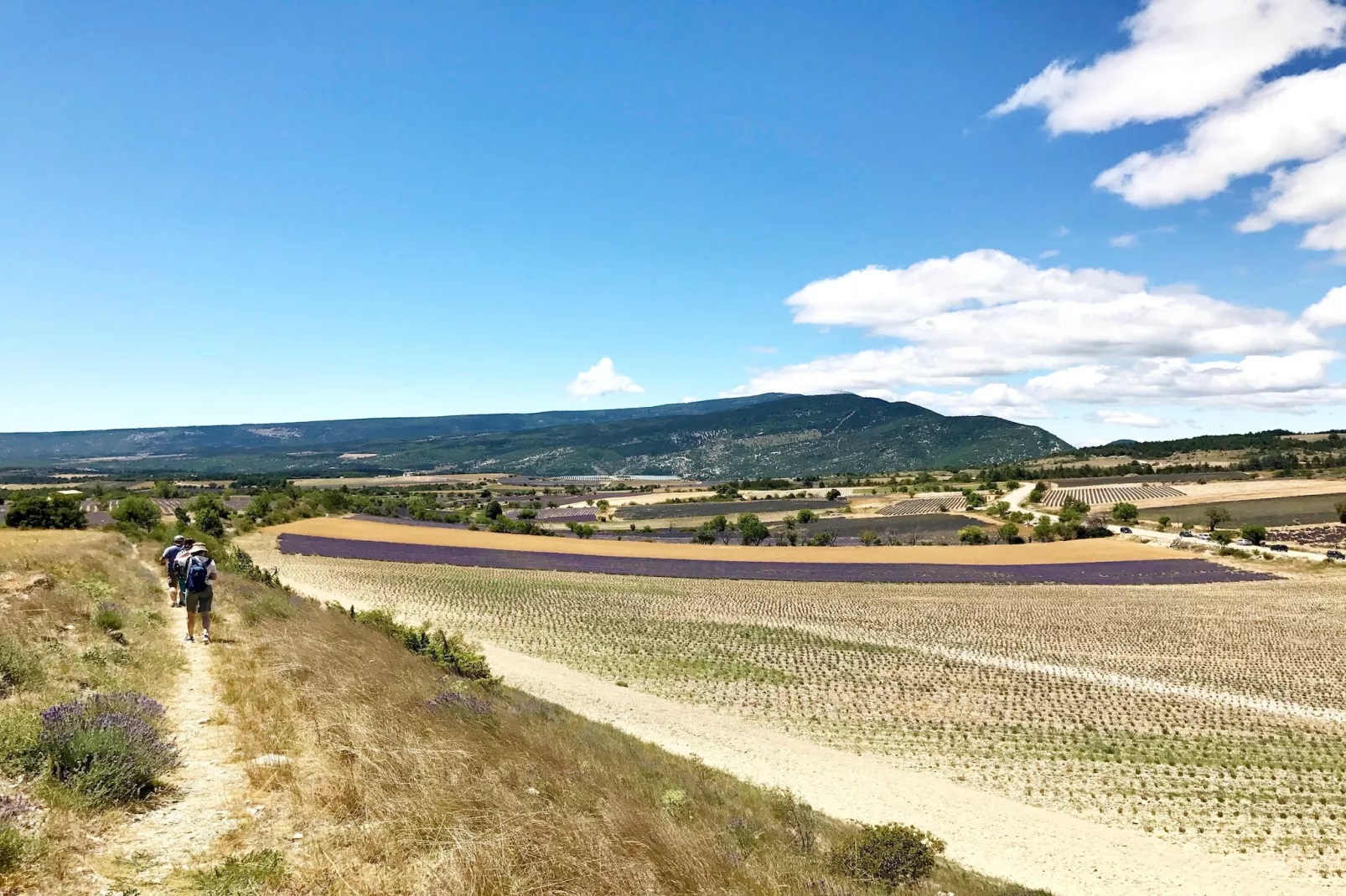 T1 'studio'-Areas summer 5km