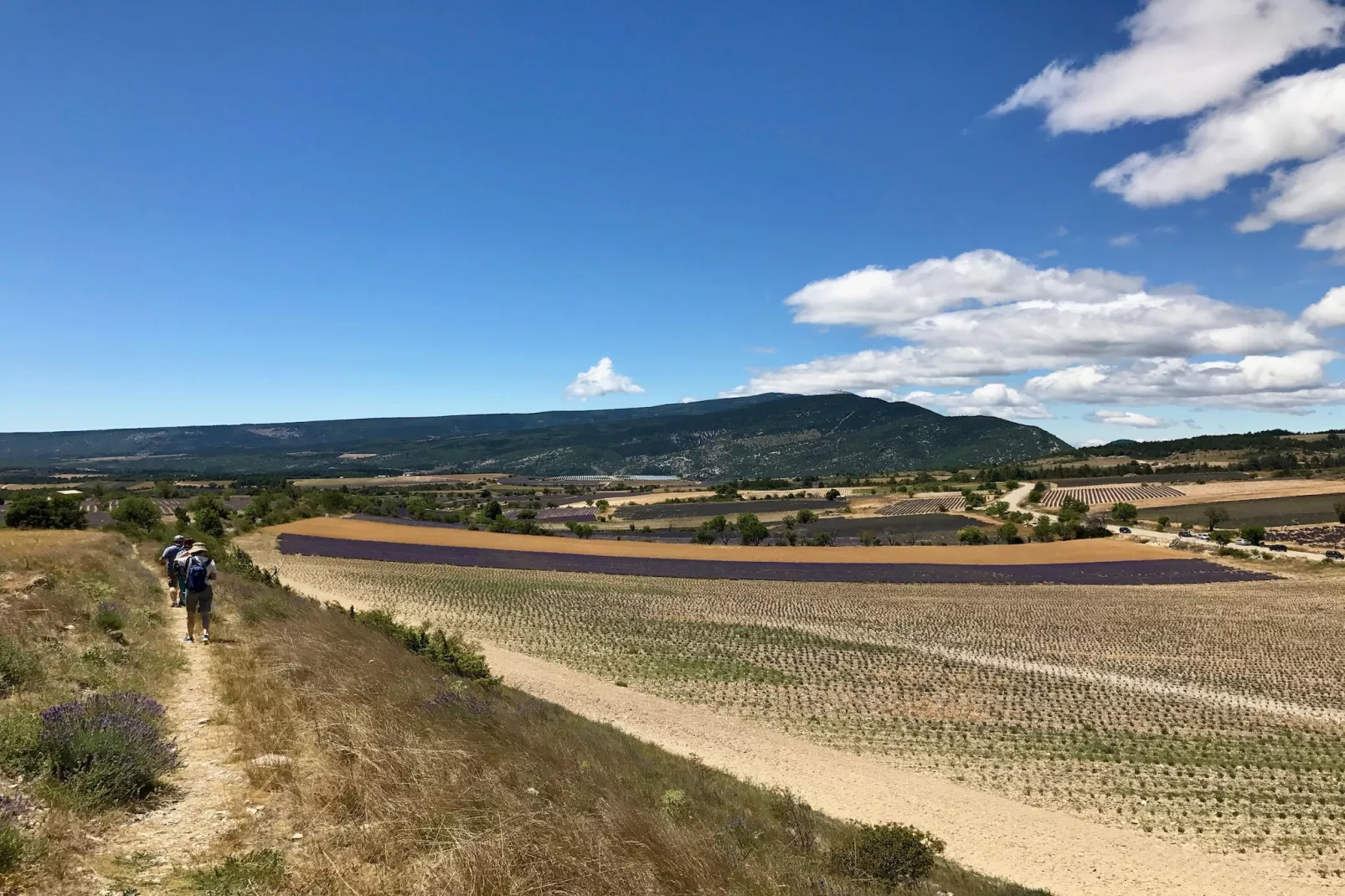 T2 'plus'-Areas summer 1km