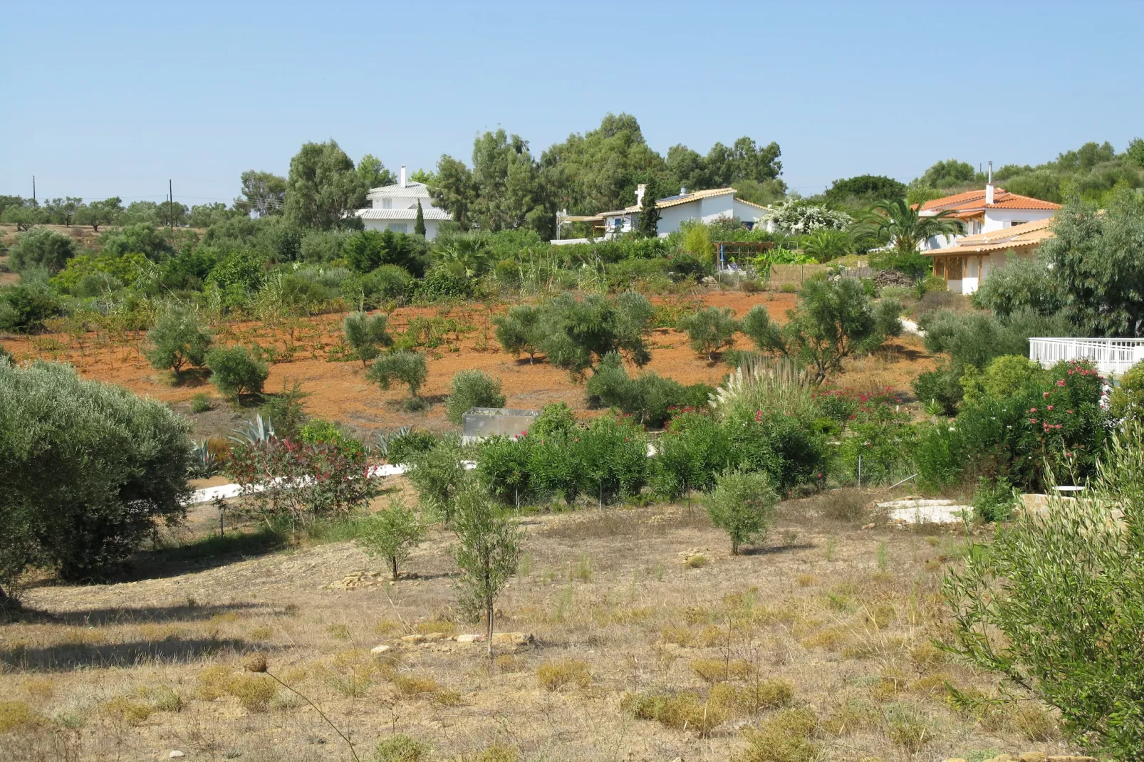Pelops Villa Siga Siga-Vue d'été