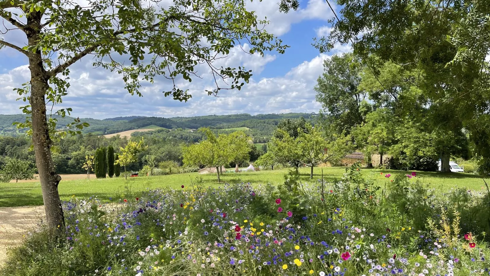 Grande gite Saint Martin le Redon - 10581258