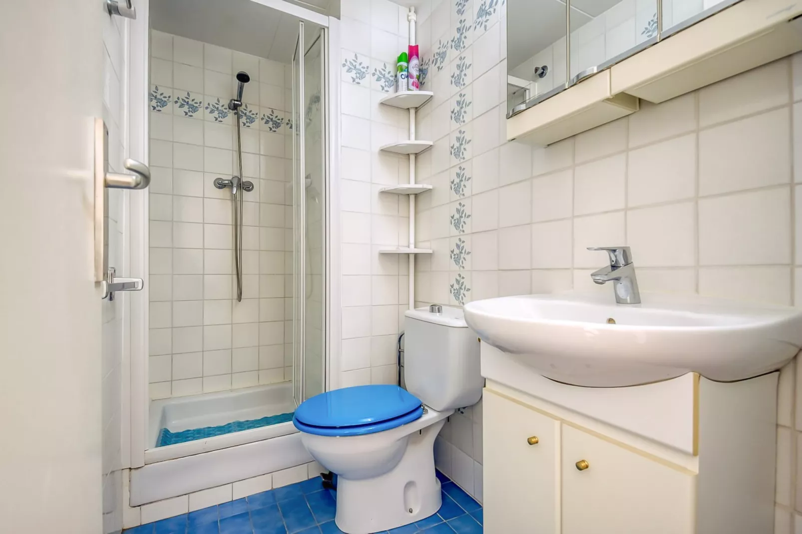 AHINOA 2J Roses-Bathroom
