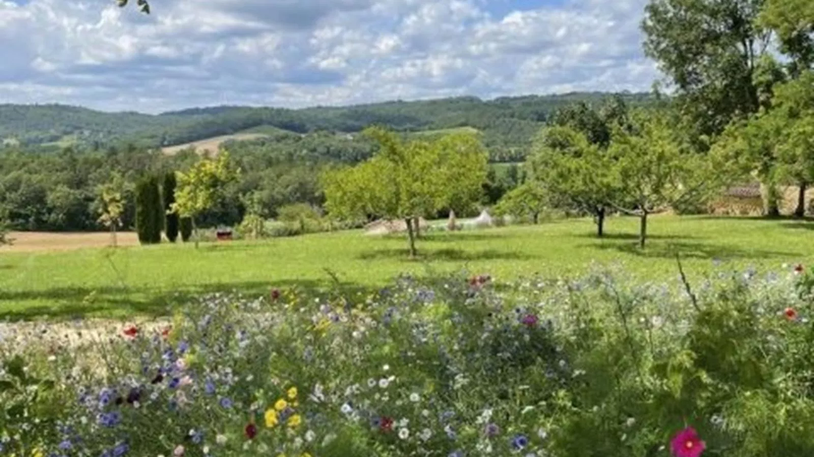 Grande gite Saint Martin le Redon - 10581264