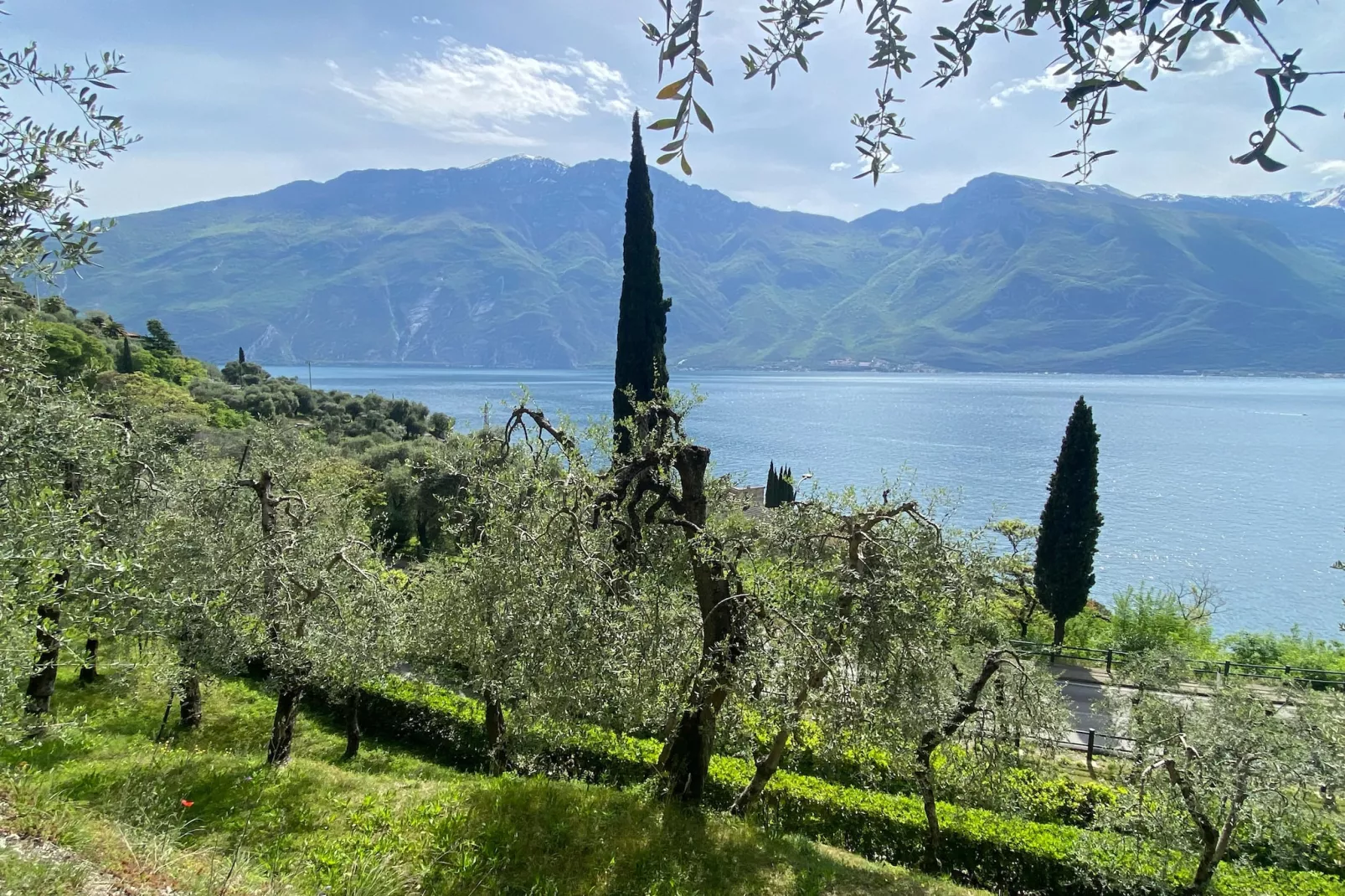 Residence Villa Gianna Limone sul Garda - Trilo 1 - 3 pax - 10170049