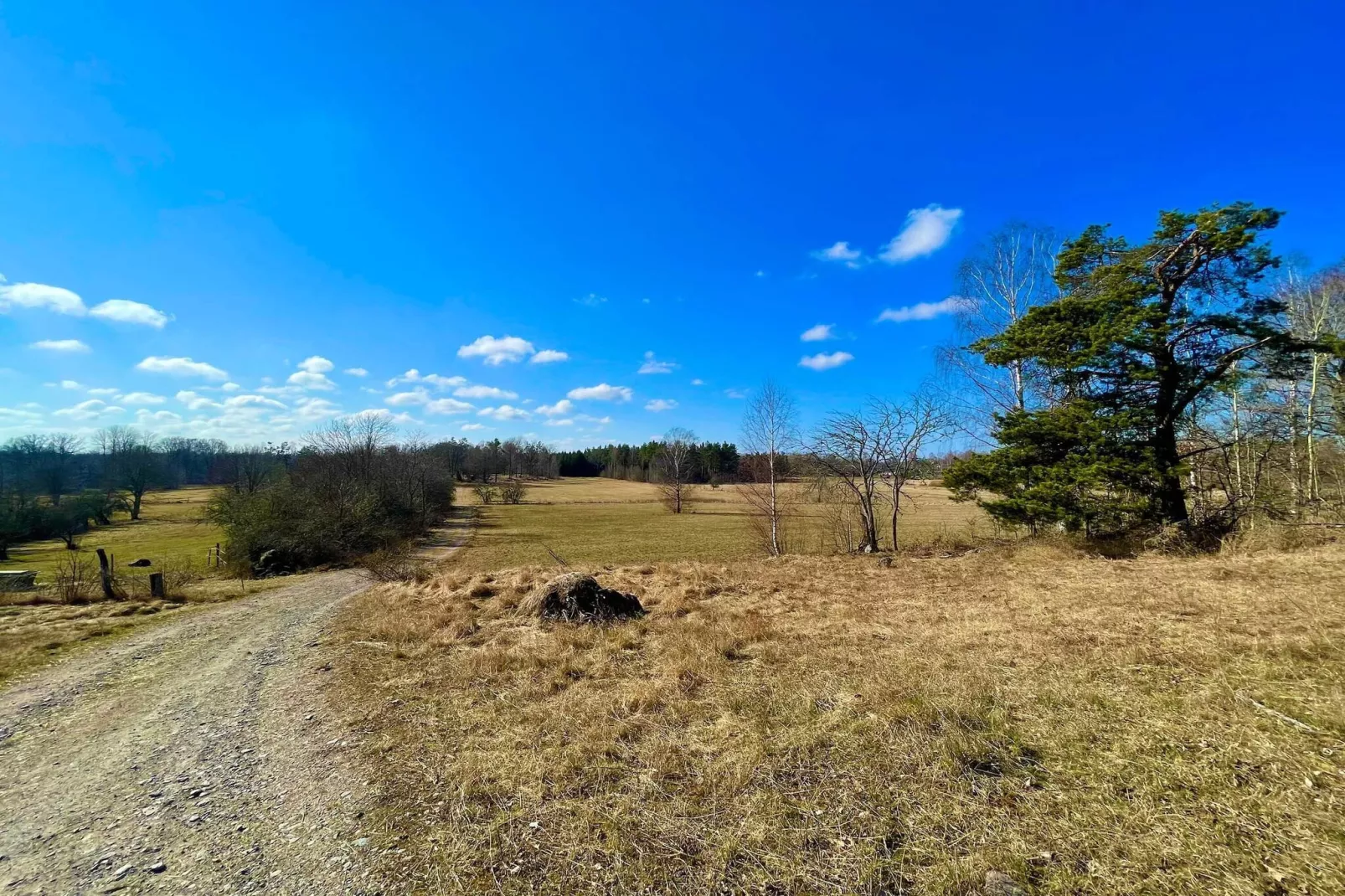 5 person holiday home in FÅRBO-Not tagged