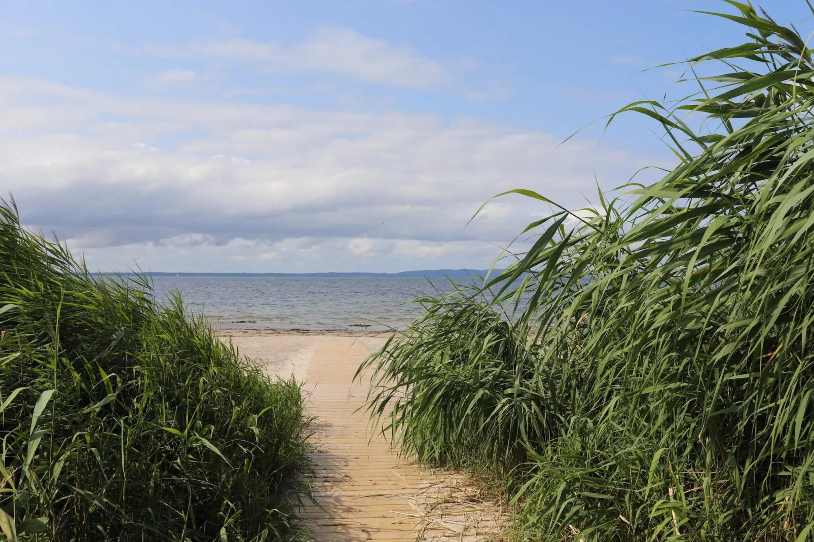 4 Sterne Ferienhaus in SKÅNE/VEJBYSTRAND-Nicht getaggt