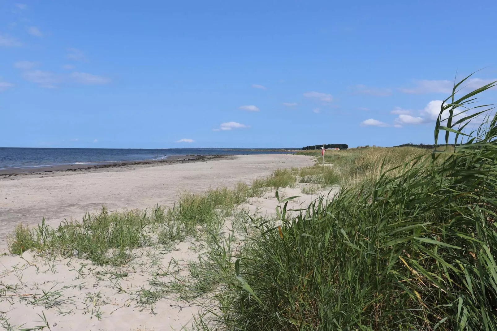 4 Sterne Ferienhaus in SKÅNE/VEJBYSTRAND-Nicht getaggt