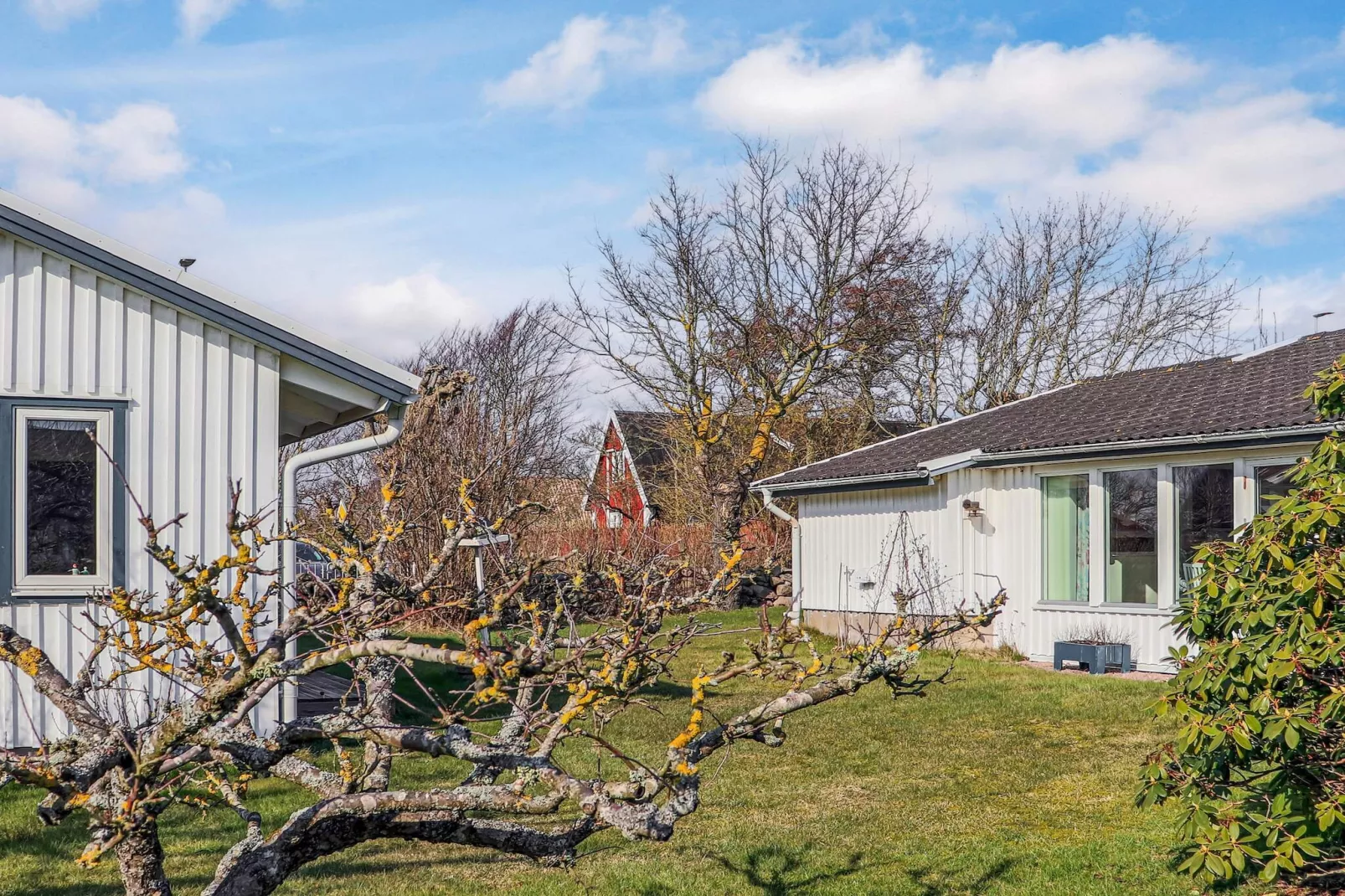 4 Sterne Ferienhaus in SKÅNE/VEJBYSTRAND-Außenbereich