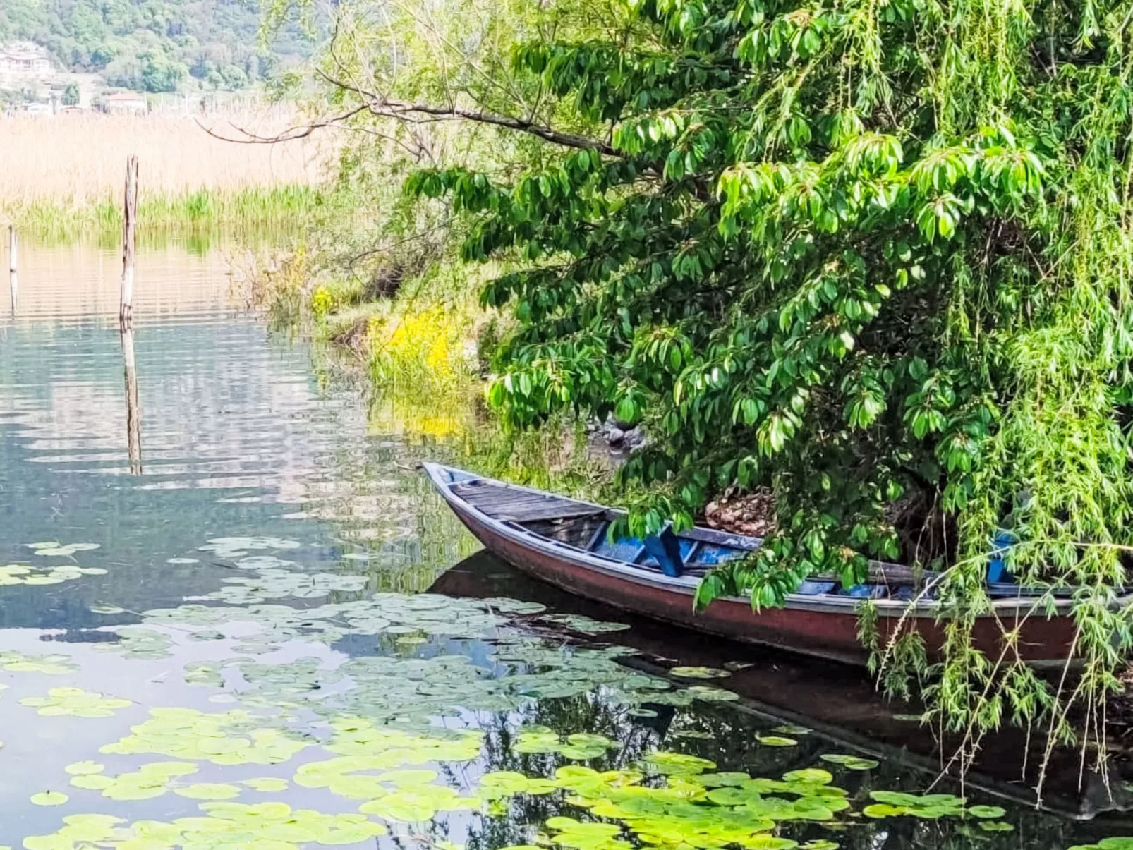 La Casetta sul Lago-Outside