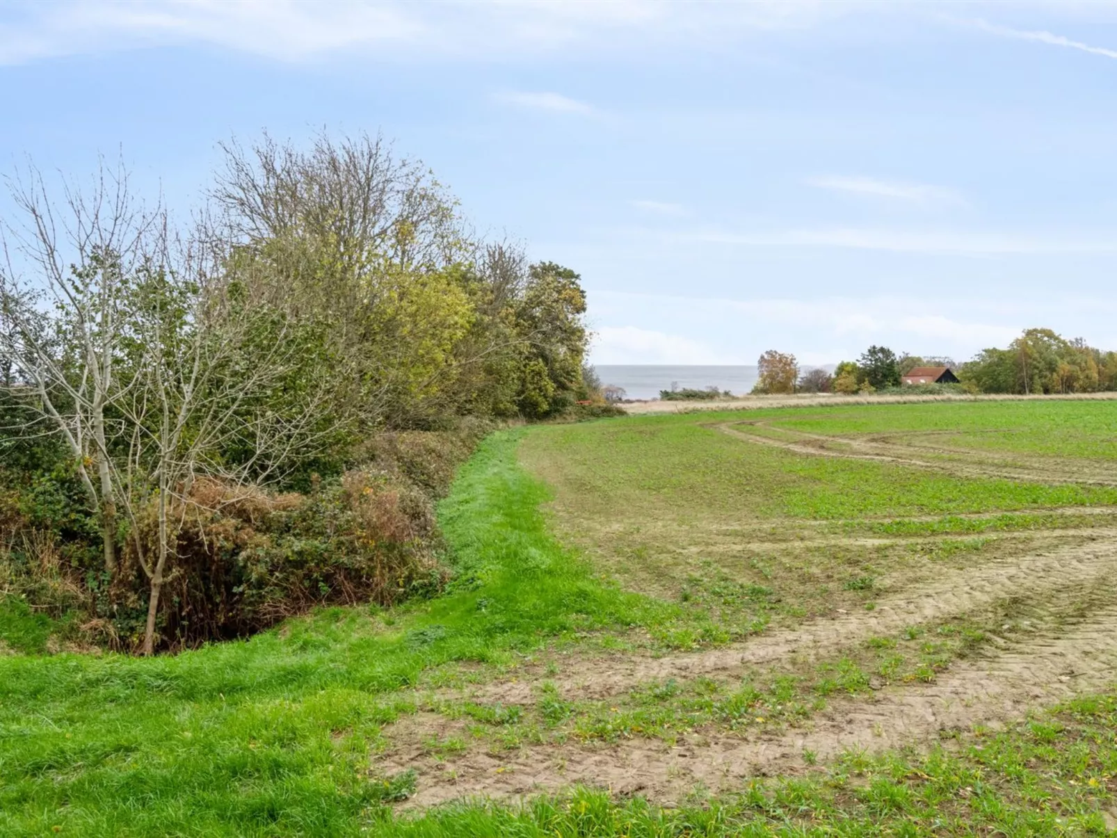 "Ejna" - 400m from the sea-Draußen