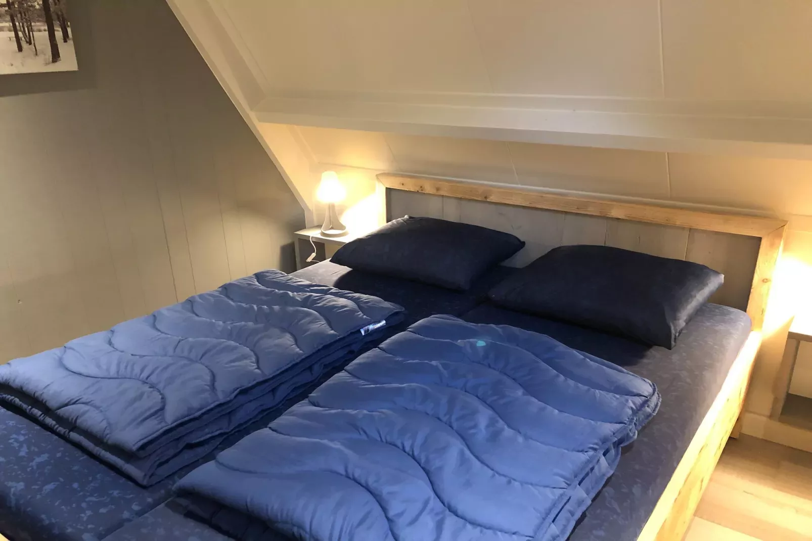 Vosseven 46&47 Aalbes-Bedroom