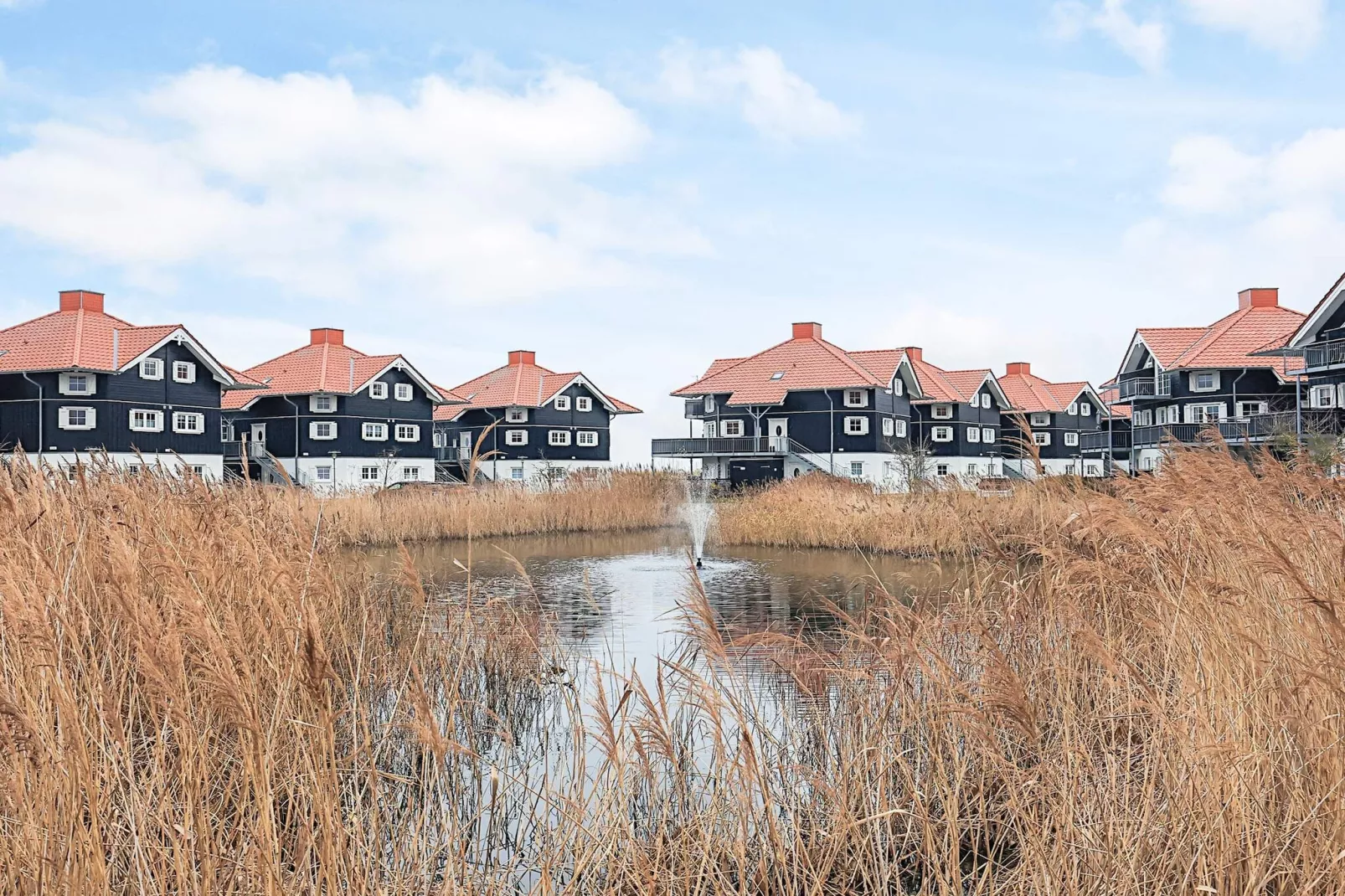 4 etoiles maison de vacances a Bogense-By Traum