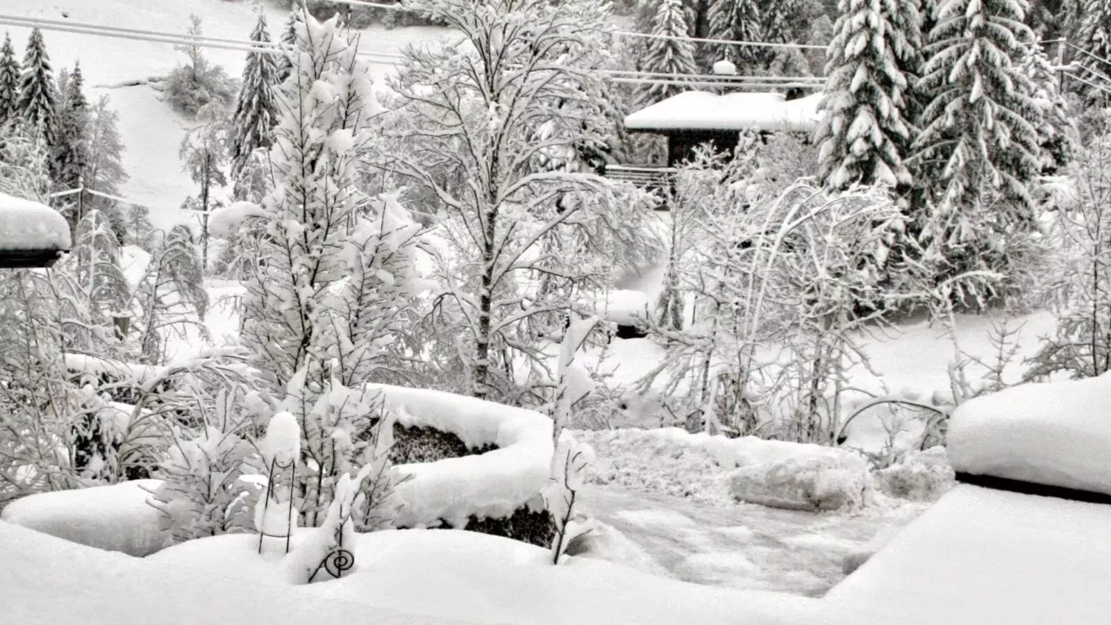 Im Wald-Aussicht Winter