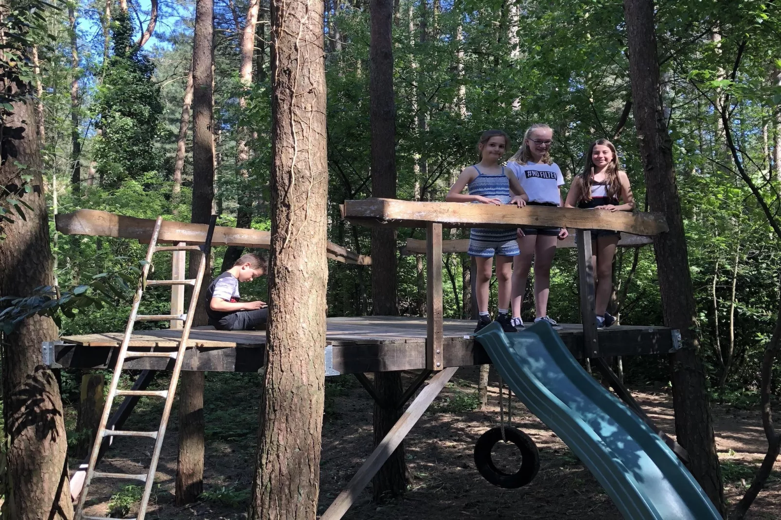 Specht-Gebiete Sommer 5 km