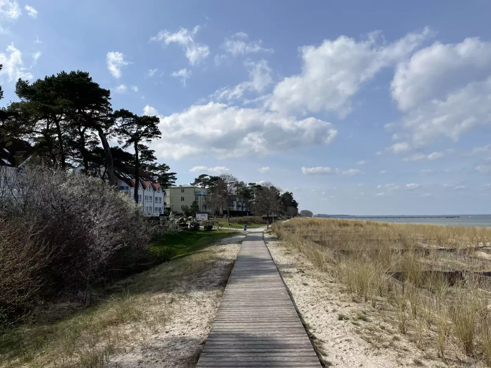 Strandvilla (LUB116)-Area