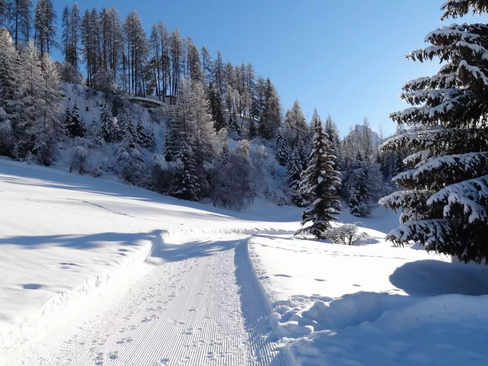 Ferienwohnung Chasa Quadra-Dehors