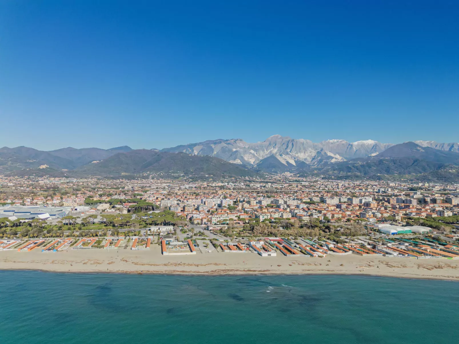 Mandarino-Area