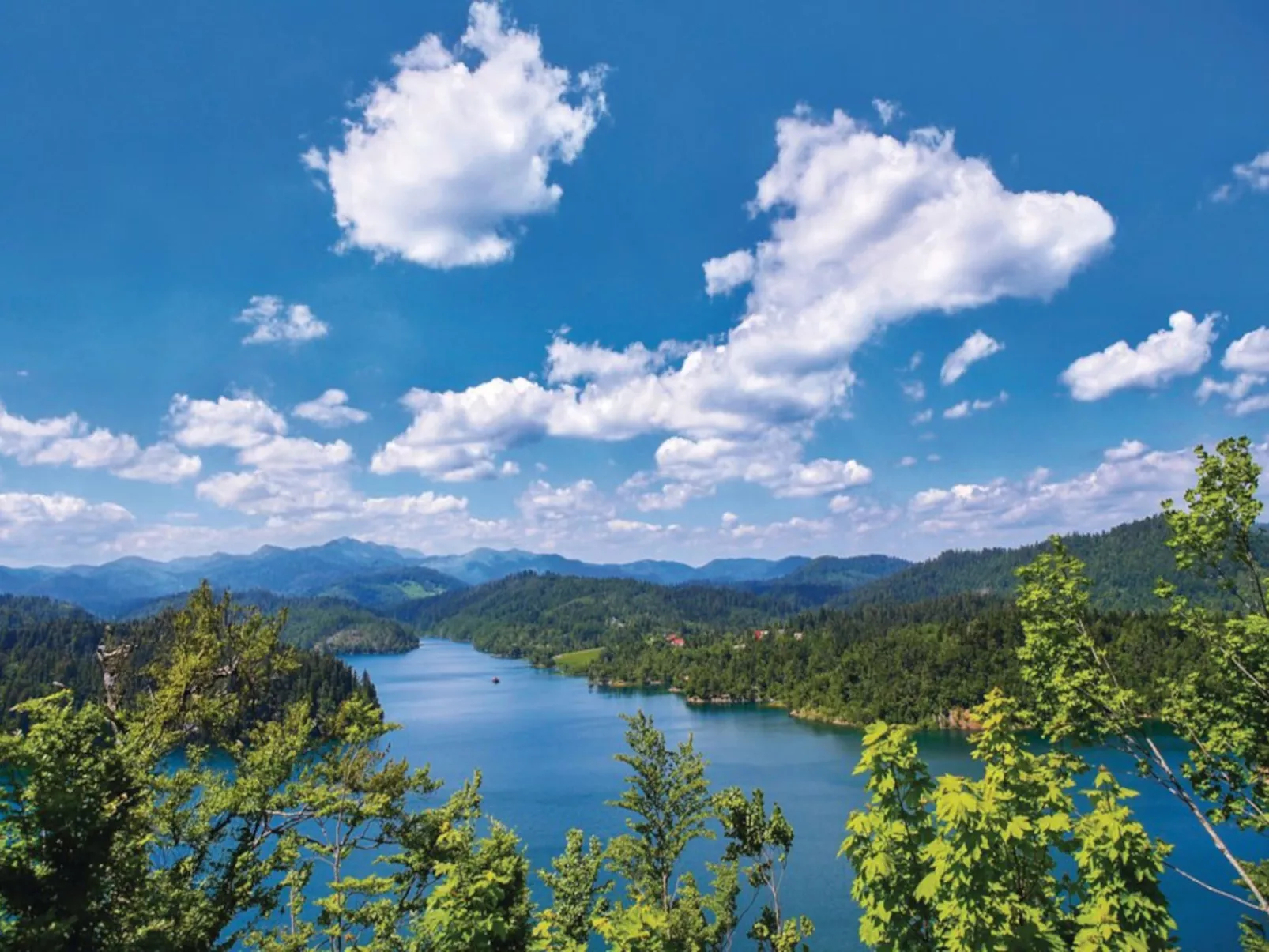 Lič-Area