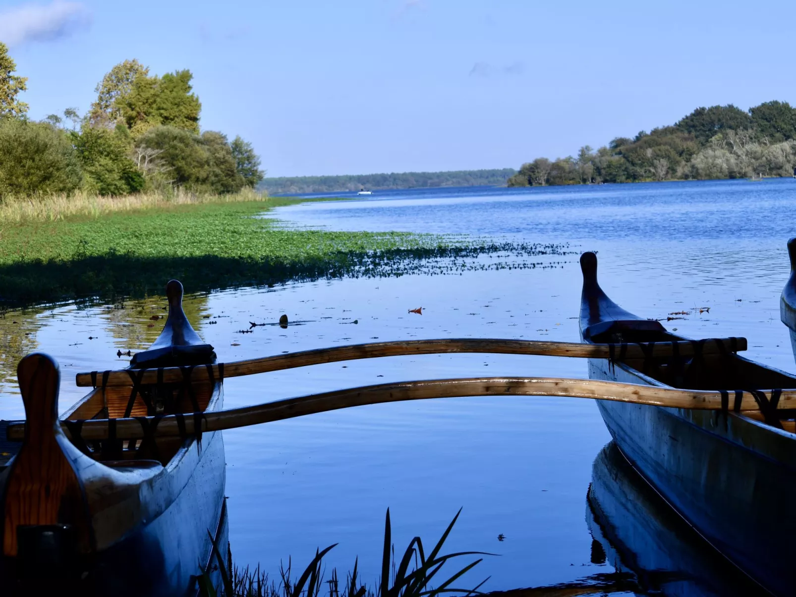 Oyan Aldo-Area