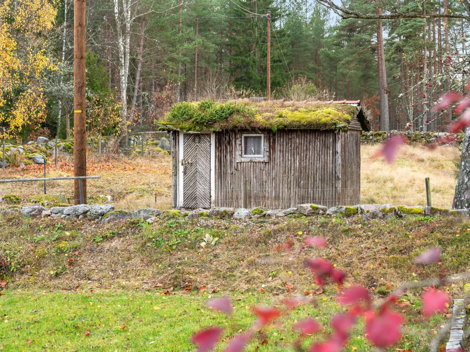 Mjuamåla-Outside