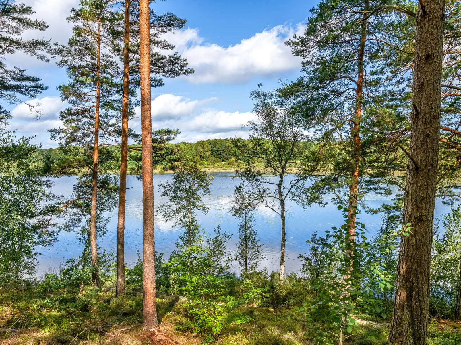 Gaslunda Tvåan-Outside