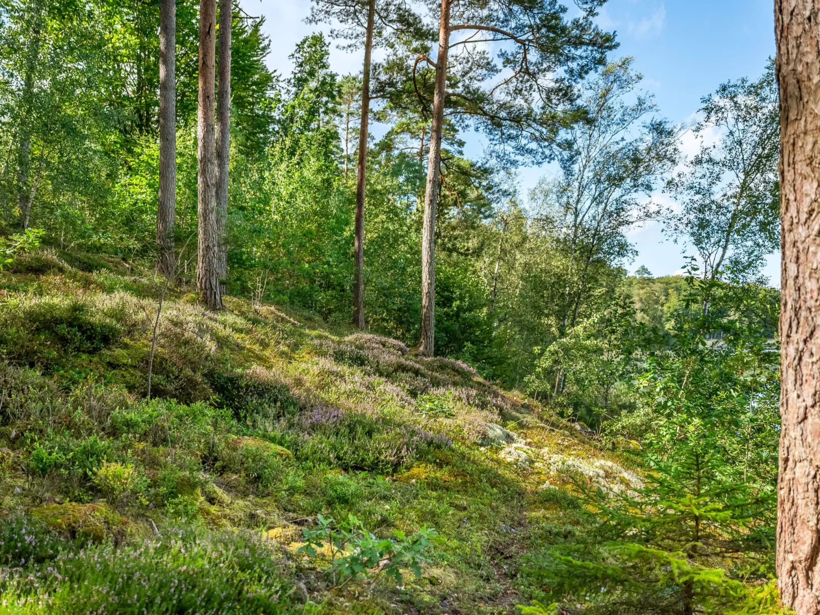 Gaslunda Tvåan-Outside