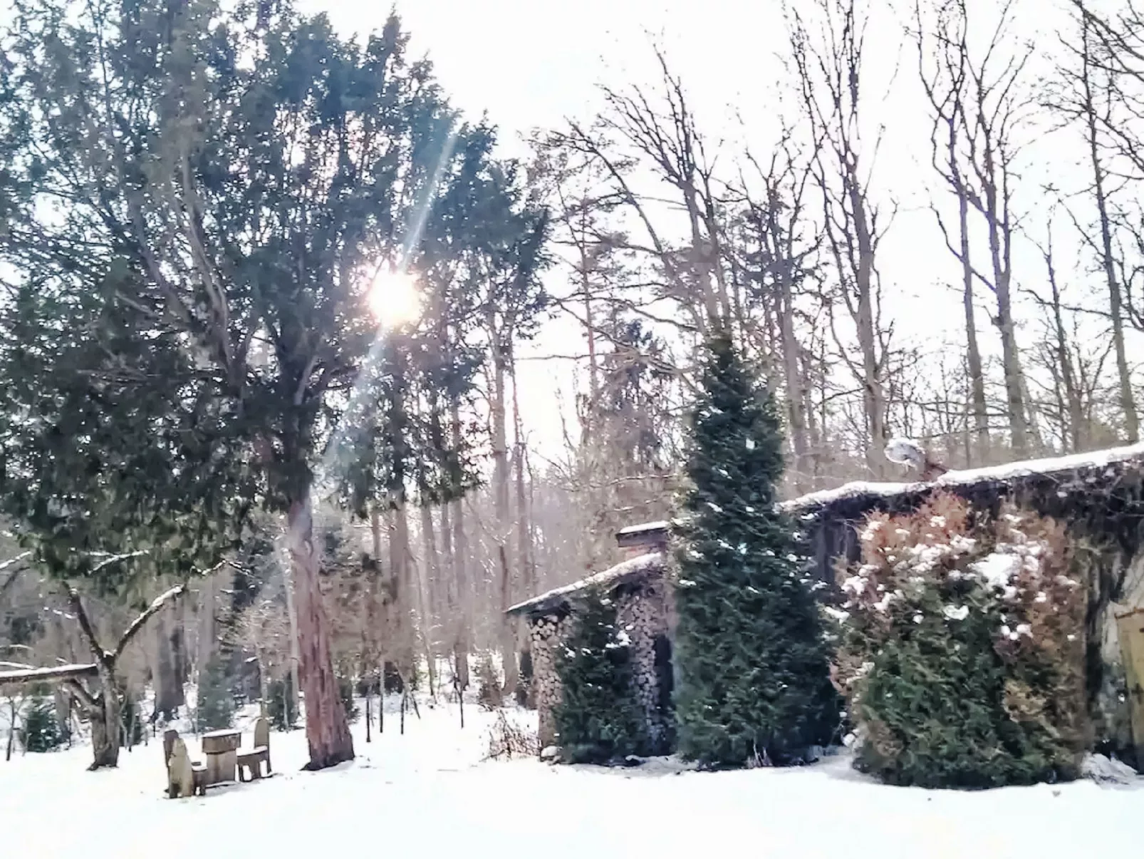 Pod Dębami-Outside