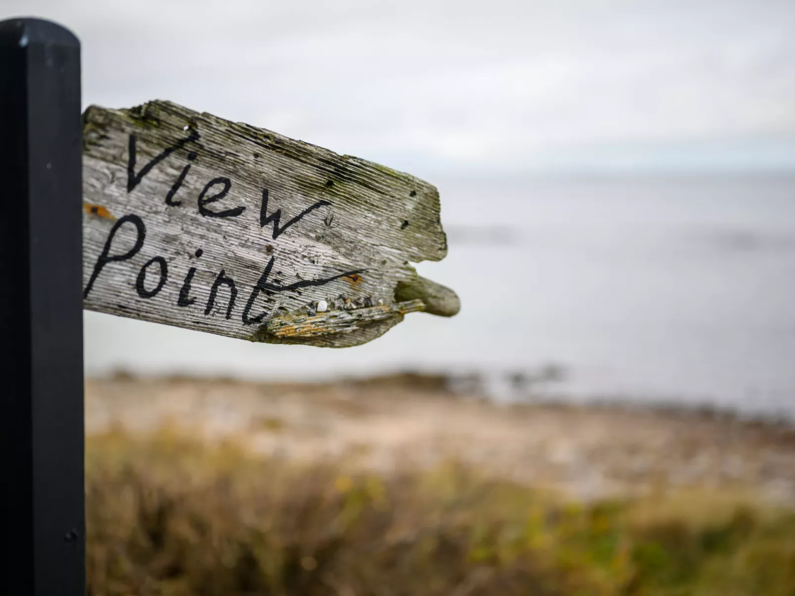 Viewpoint-Outside