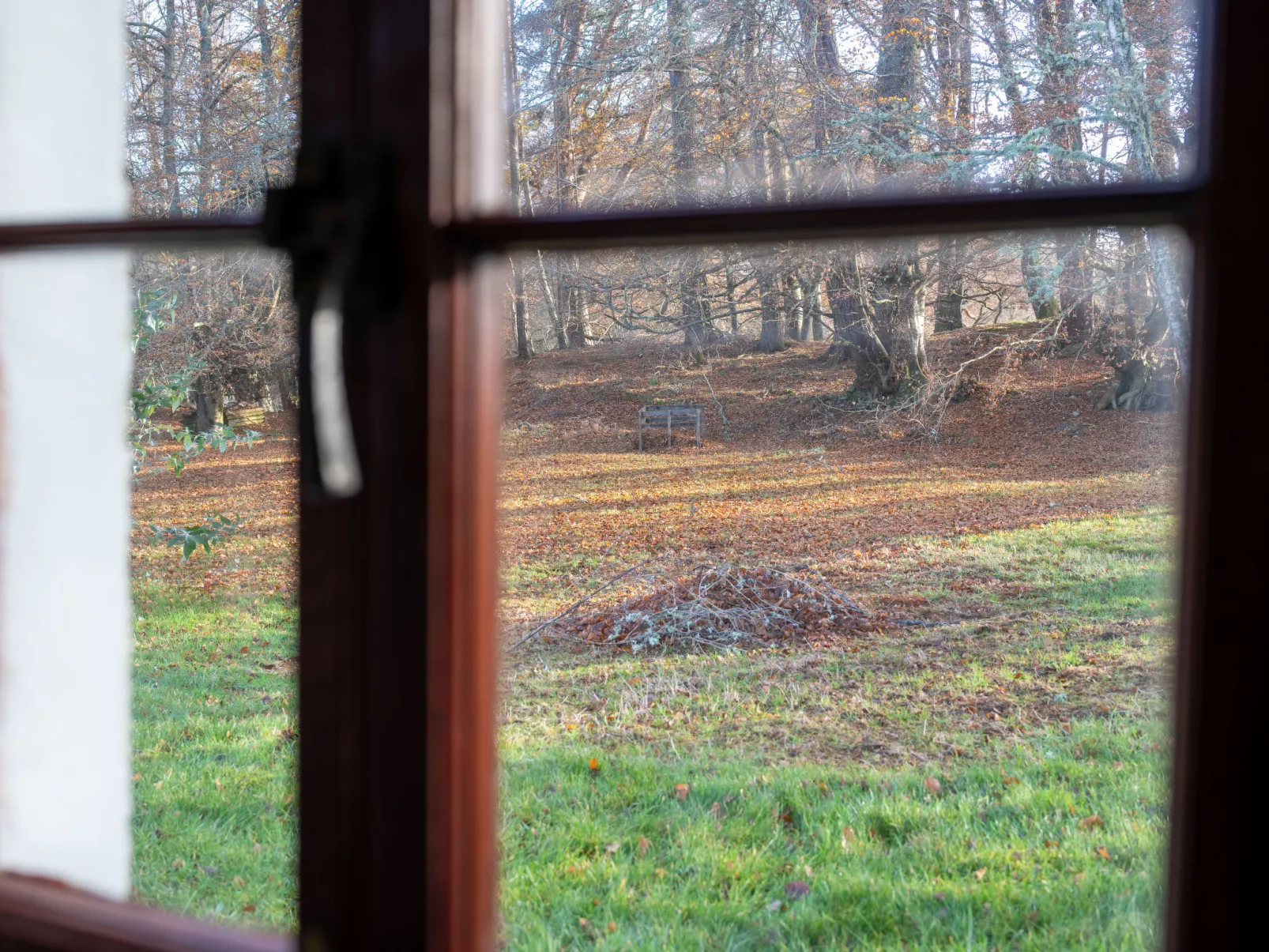 Rose Cottage-Outside