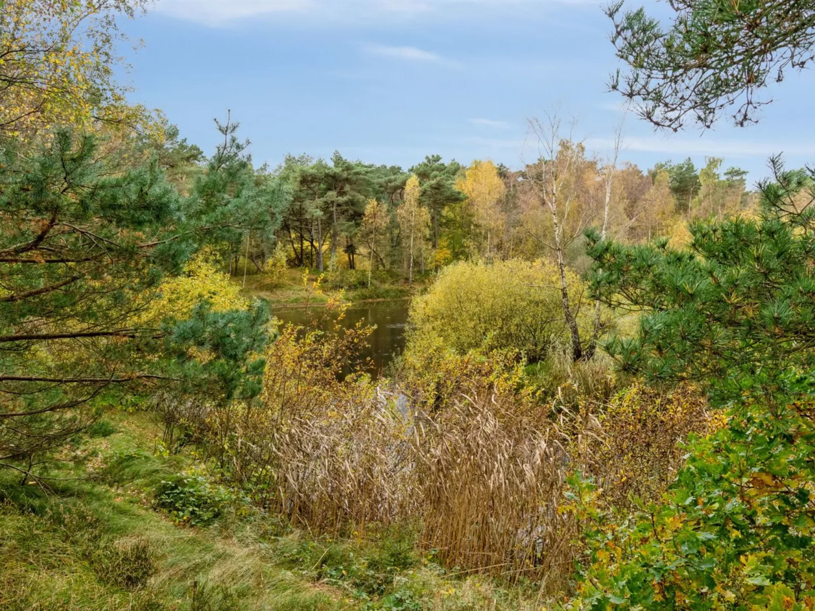 "Menke" - 150m from the sea-Outside