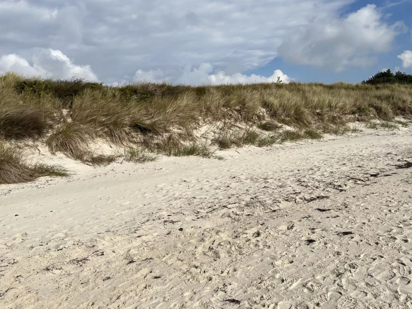 "Eirik" - 700m from the sea-Draußen