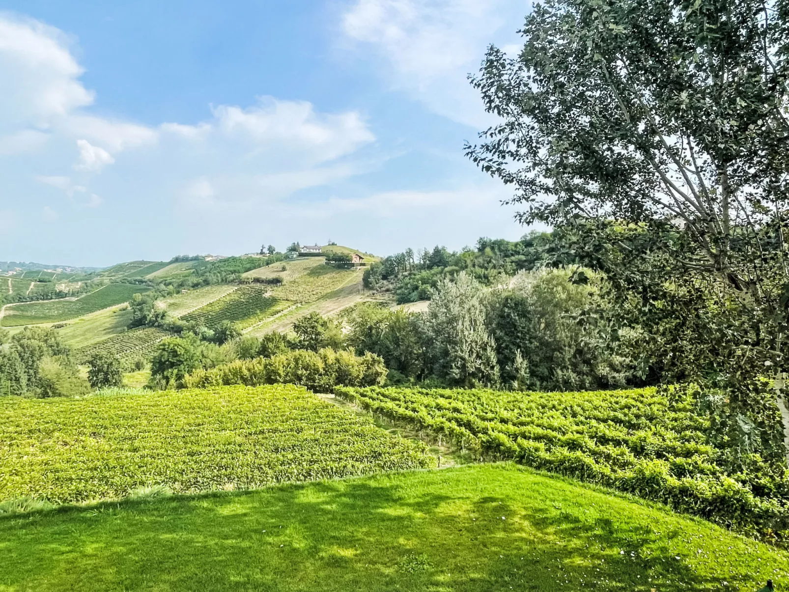 Tenuta Bricco San Giorgio-Draußen