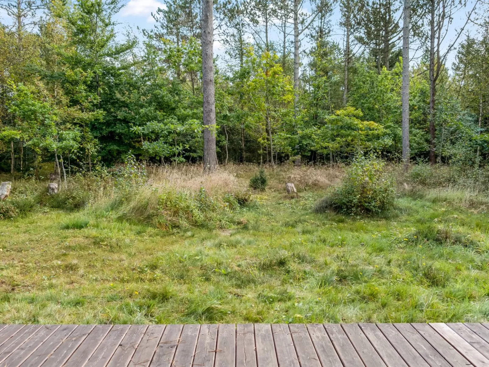 "Reinfried" - 250m from the sea-Outside