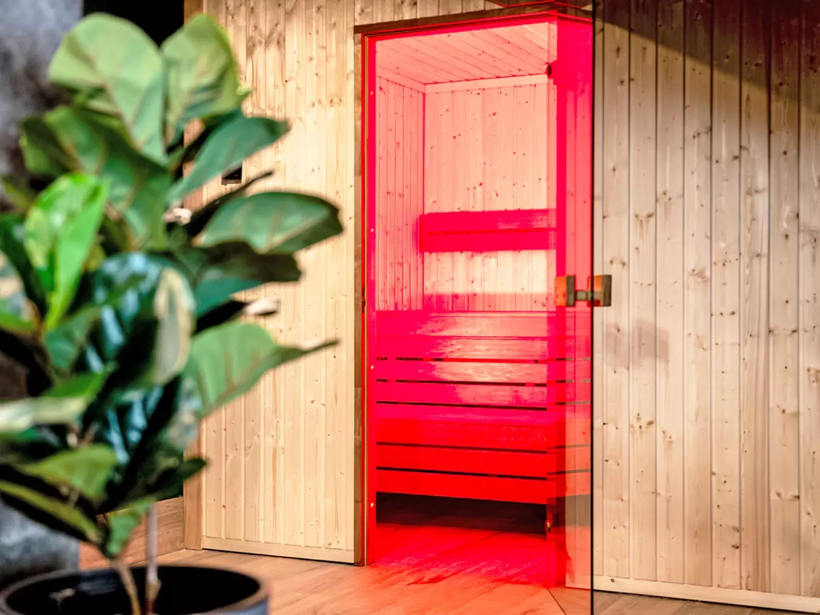 Ostoja Parku Narodowego-Inside