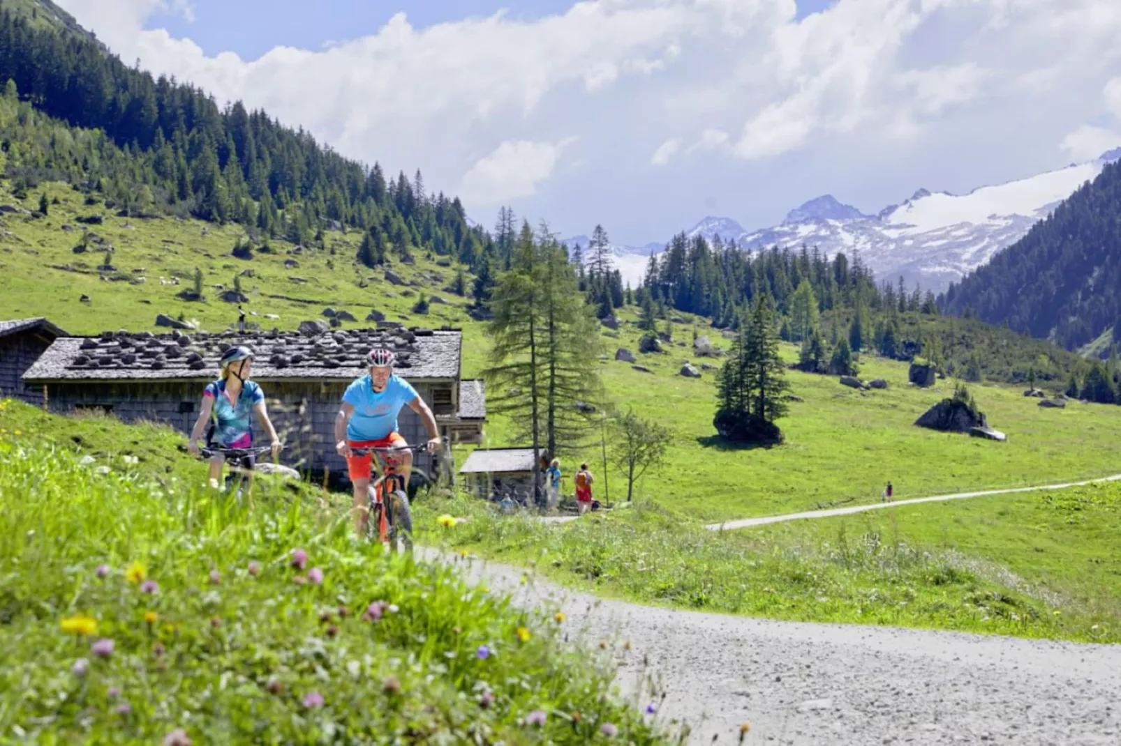 Bergresort Tauernblick 1-Areas summer 5km