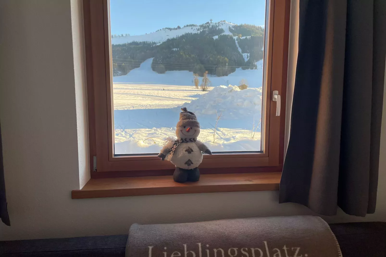 Luxusapartment mit Sauna am Berg-Garden winter