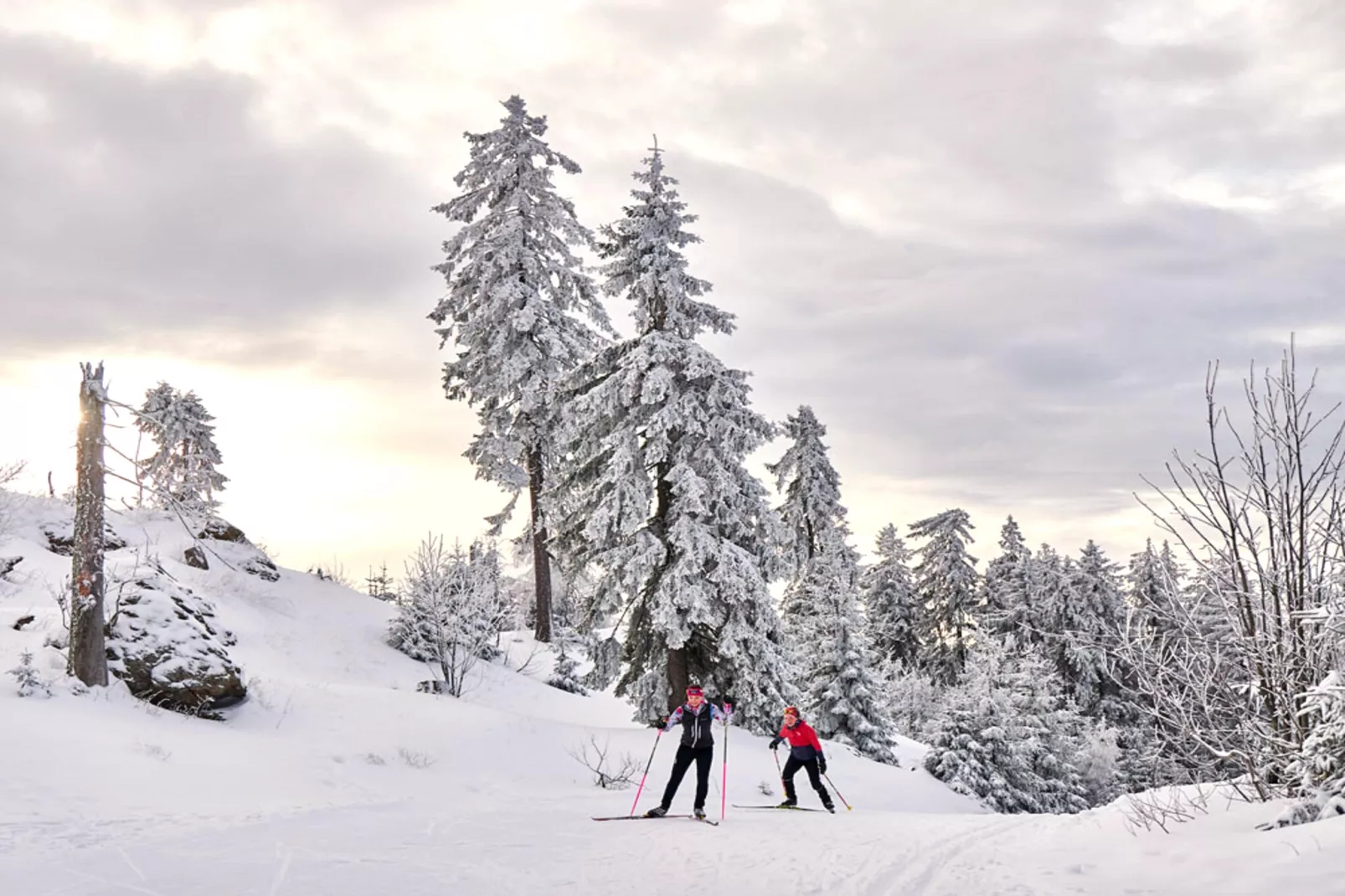 Bungalow in Kitzbühel-Area winter 20km