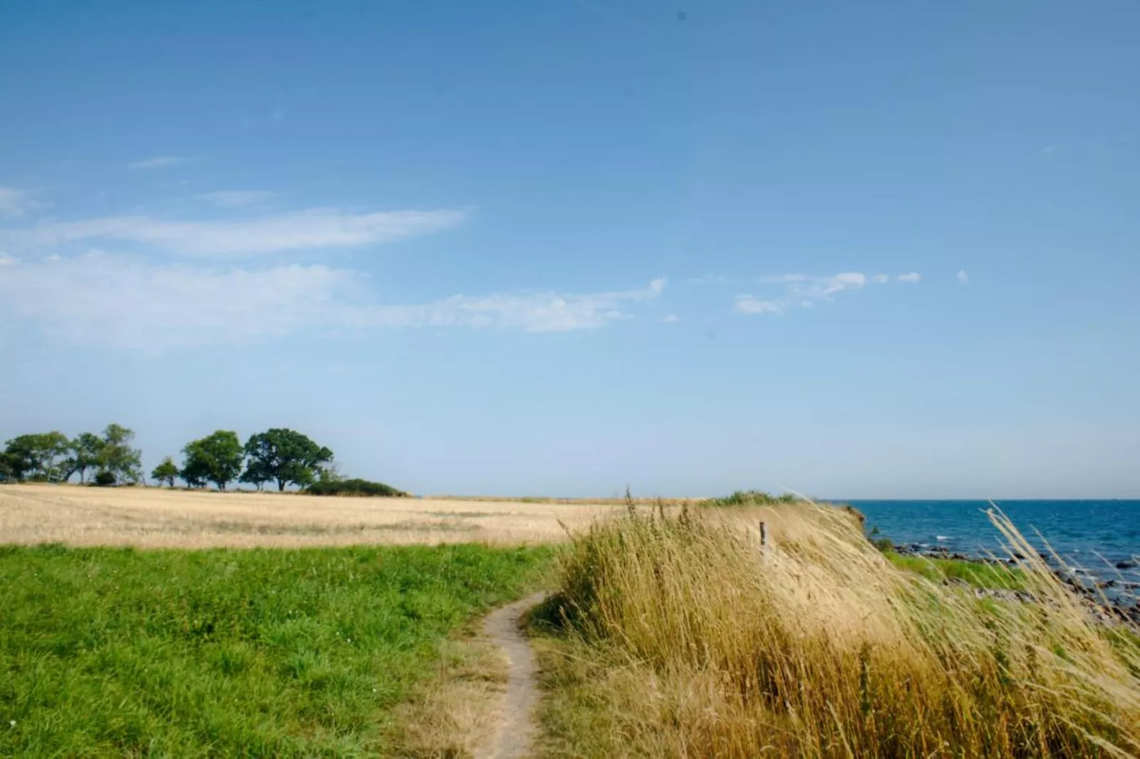 Landhaus auf Fehmarn-Areas summer 5km