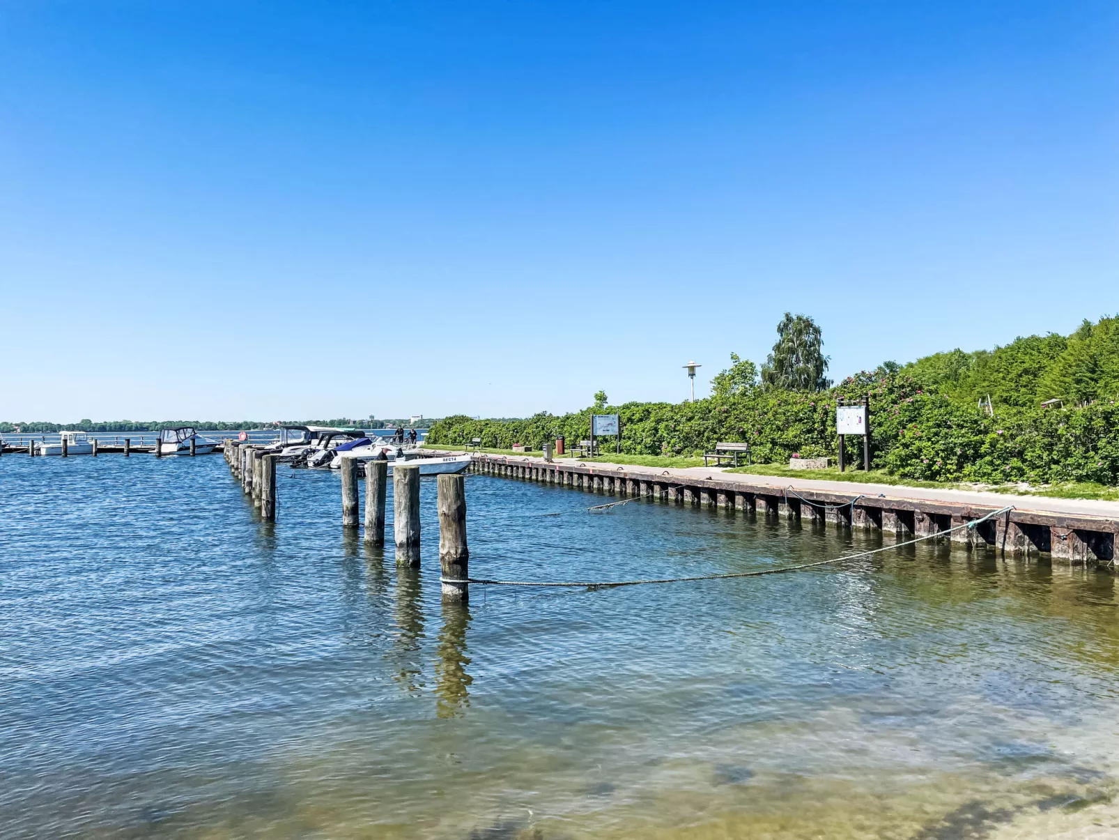 Strandläufer-Umgebung