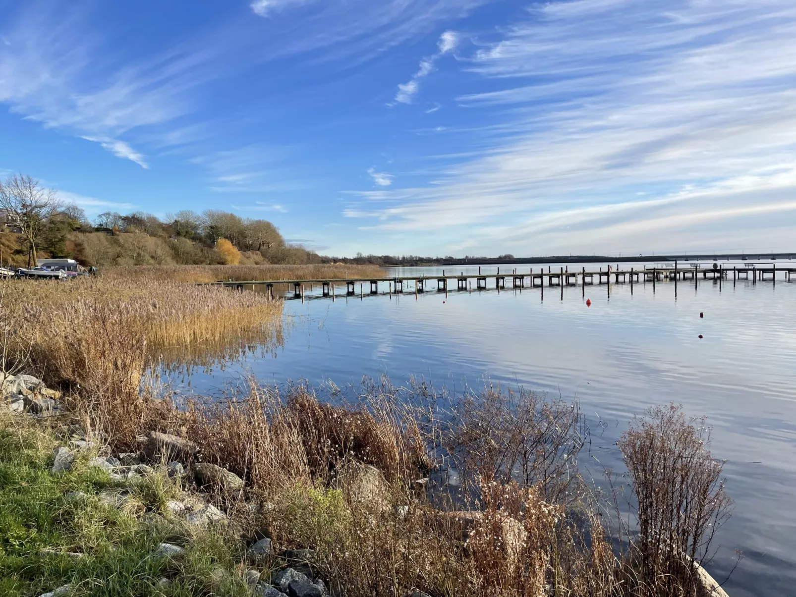 Strandläufer-Umgebung