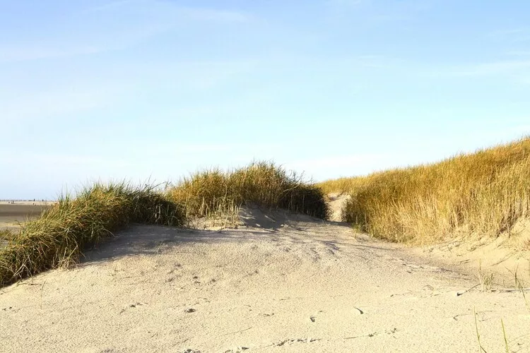 Watt 1-Areas summer 5km
