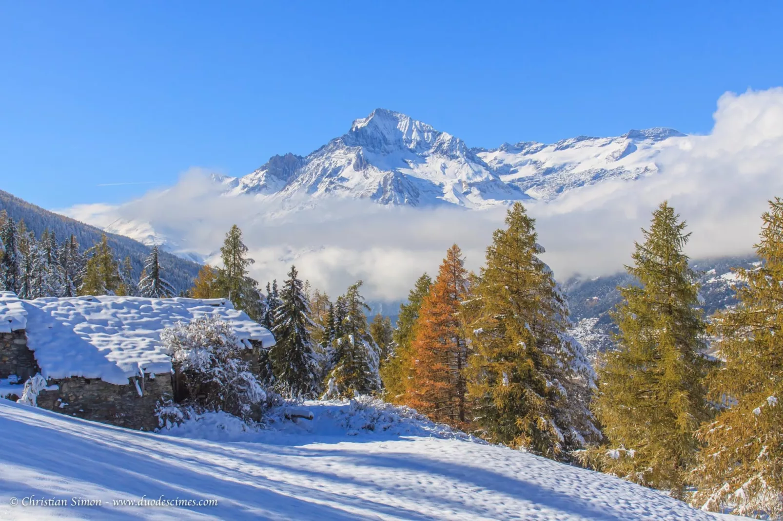 Balcons H 016 - PARC NAT. VANOISE appart. 5 pers.-Area winter 1km