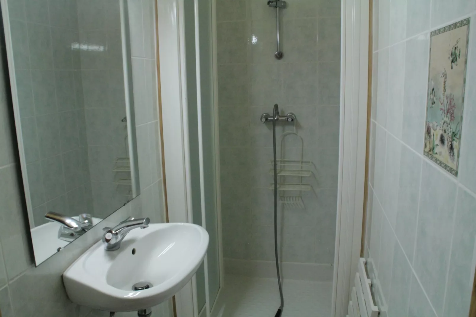 VAL PIERRE VPD2 CENTER & SPACIOUS 8 Pers.-Bathroom