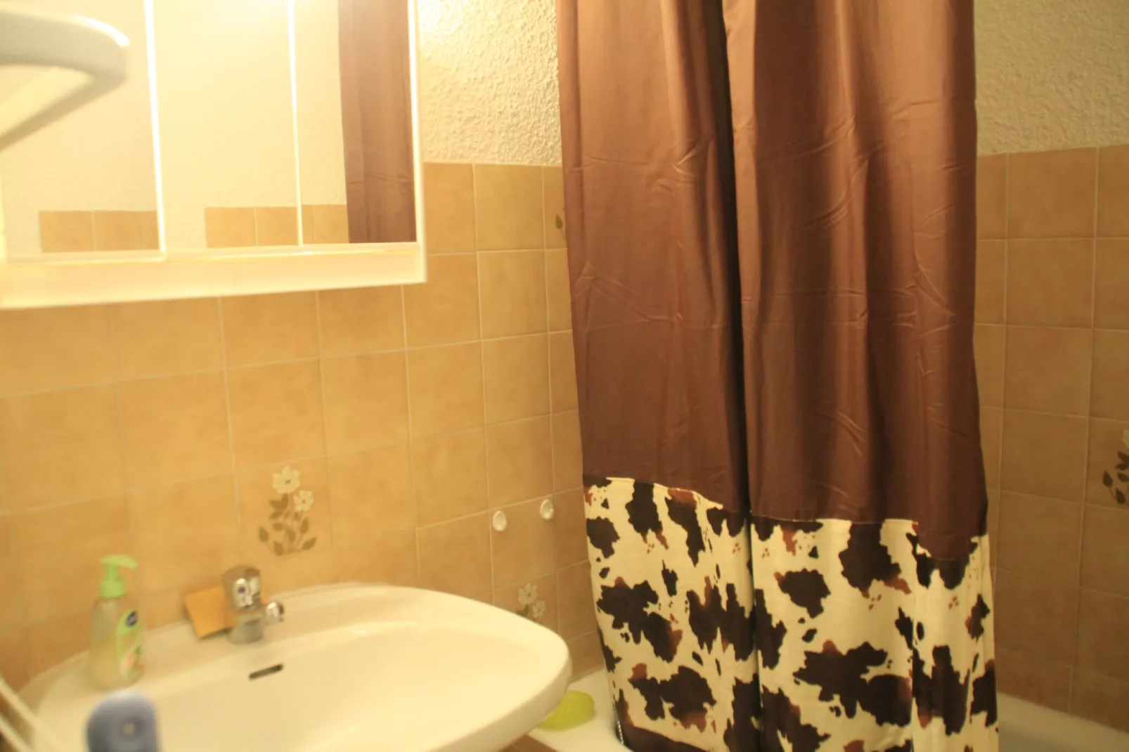 Alpenlake AP120 VIEW & NATURE 5 pers.-Bathroom